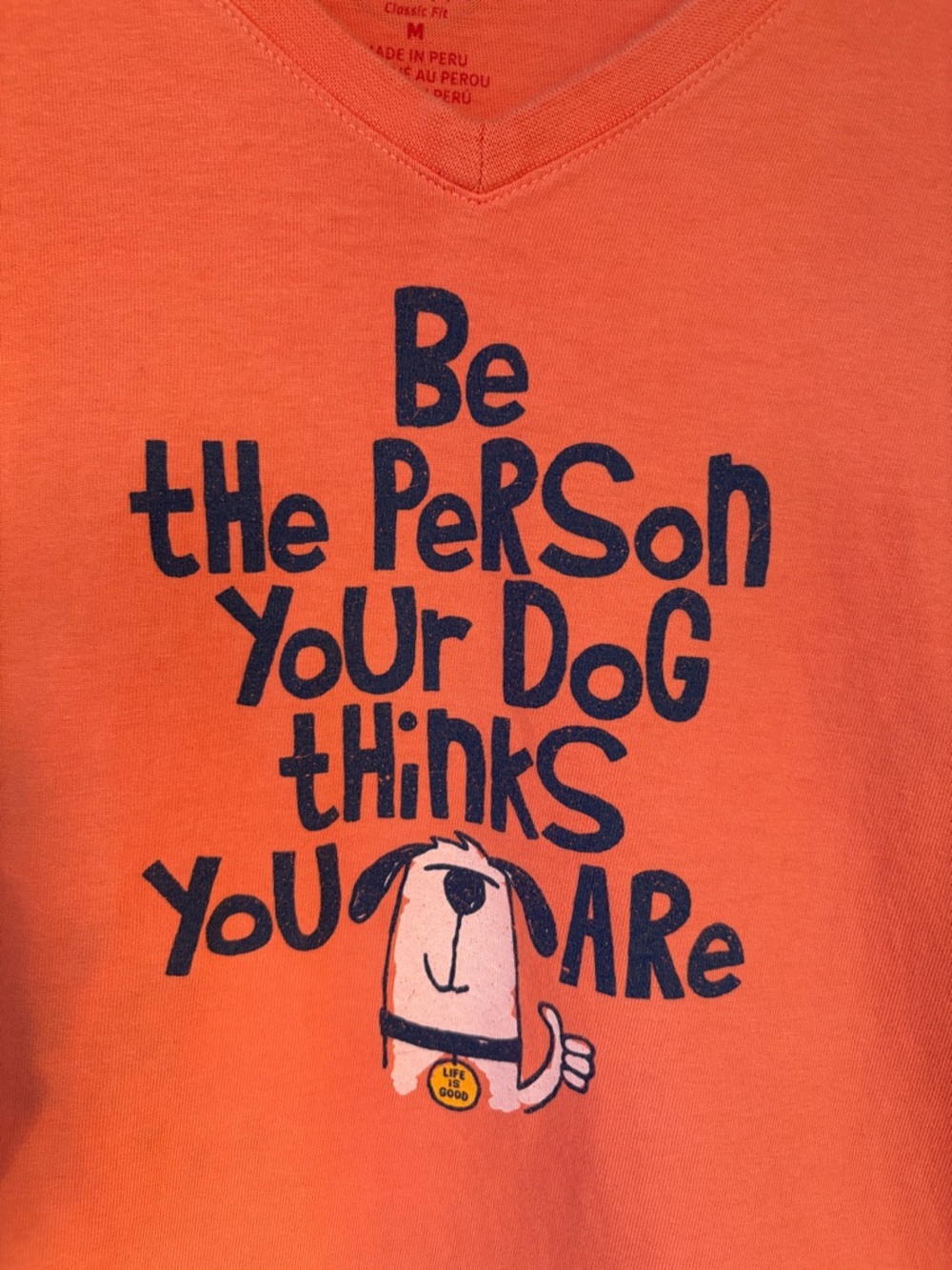 Life is Good Orange 'Be the Person Your Dog Thinks You Are' Dog Graphic T-Shirt